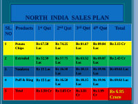 Page 16: Dazzle Food  Business Plan For North India