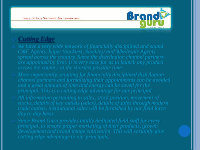 Page 25: Dazzle Food  Business Plan For North India